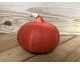 Courge "Potimarron" ~ 1,1kg